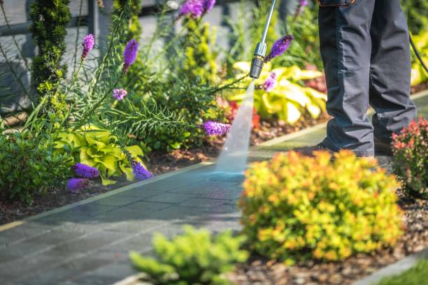 Best Pool Deck Cleaning in Orida City, FL